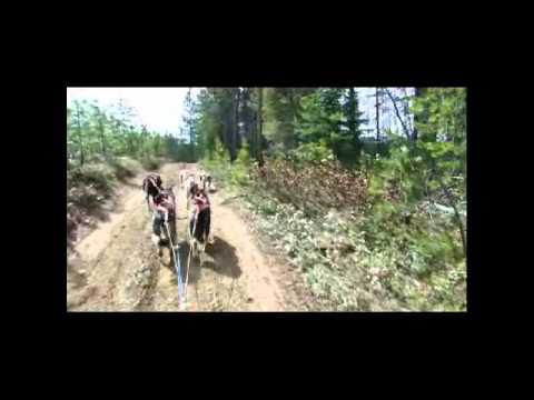 sled commands basic sled commands wmv sled commands basic sled commands wmv