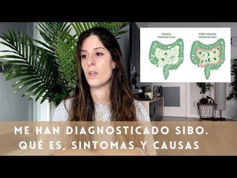 Vídeo: SIBO: Síntomas, Tratamiento, Dieta Y Más