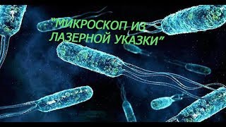 МИКРОСКОП ИЗ ЛАЗЕРНОЙ УКАЗКИ | VLOG