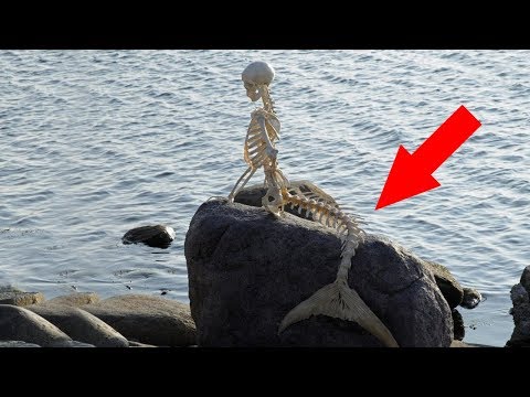 जलपरी की कंकाल 😲 क्या जलपरी सच में होती है? Mystery of Mermaid Skeleton | Mermaid Mystery in Hindi जलपरी की कंकाल 😲 क्या जलपरी सच में होती है? Mystery of Mermaid Skeleton | Mermaid Mystery in Hindi