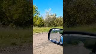 Всегда помни эту фразу ... #мудрость #wisdom #shorts