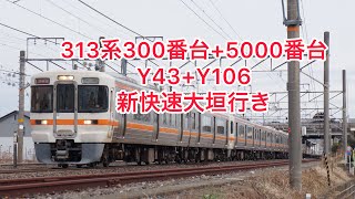 313系300番台+5000番台　Y43+Y106  新快速大垣行き　#313系 #313系300番台 #313系5000番台 #jr東海