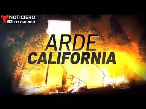 Incendios al Norte de California│Napa Valley