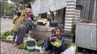Hasil Adol Kacang Panjang Milyaran Rupiah Nggerrr Hehehe