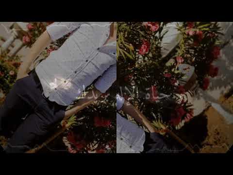 قولي لا اميك يا بنت جاية اليلة اطلب ايدك