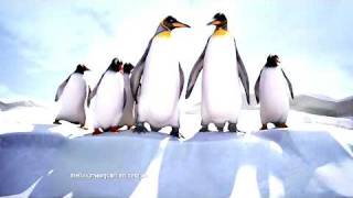 Antarctic Penguins Have Arrived In Melbourne.wmv
