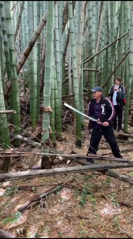 斬られた竹に襲われるタカP