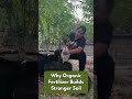 Why Organic Fertilizer Builds Stronger Soil