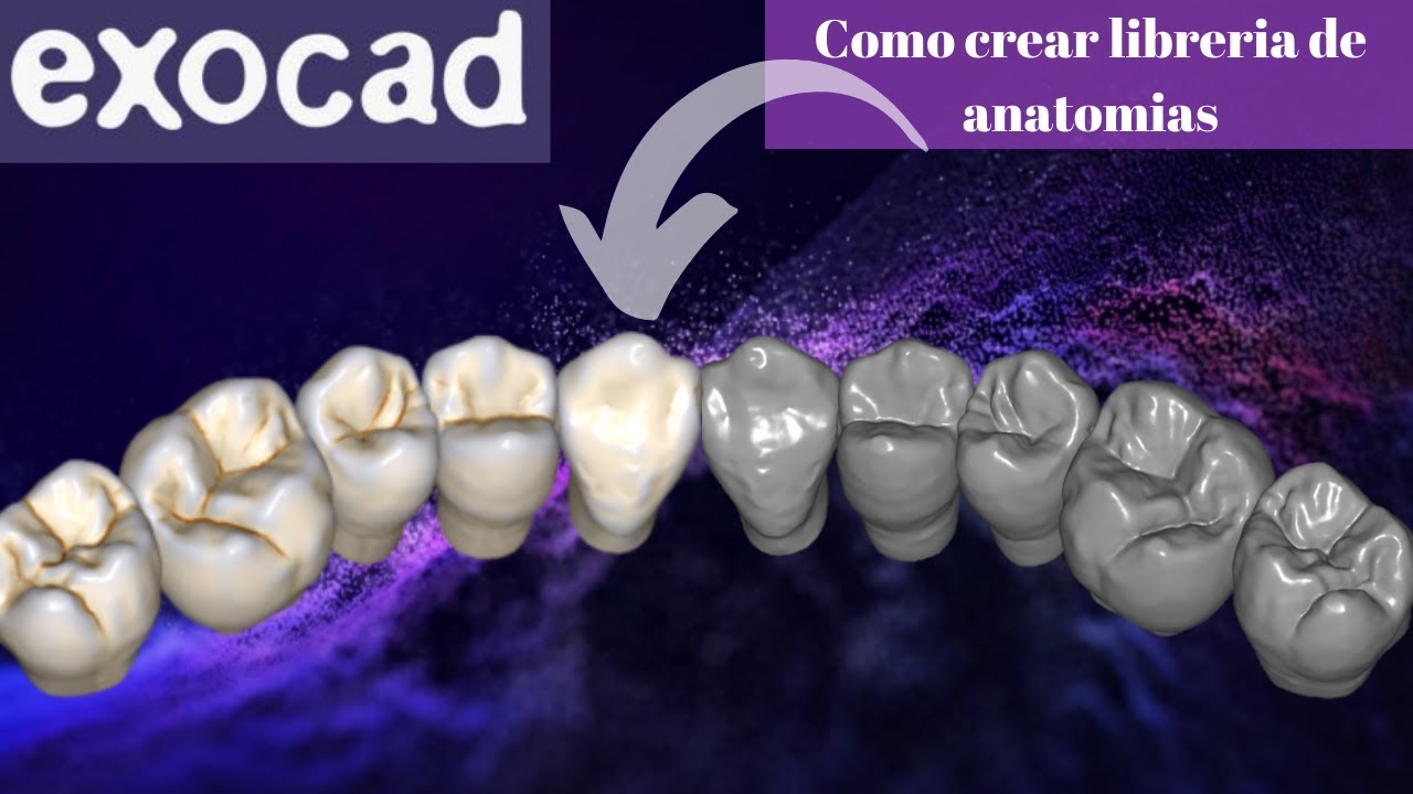 Como crear libreria de anatomias en exocad🚀🌀