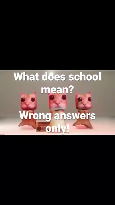 and-i-met-you-in-the-summer-what-does-school-mean-wrong-answers-only
