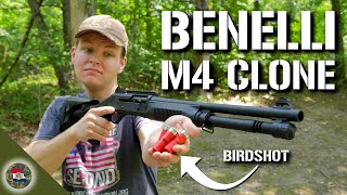 Benelli M4 Clone! Will it Run Birdshot?
