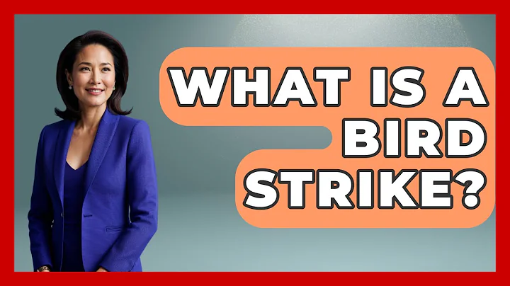 What Is A Bird Strike? - Air Traffic Insider