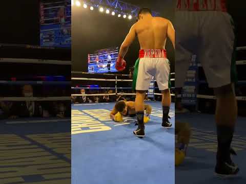 Shocking Knockout Causes Seizure – Referee’s Delay Leads to Tragedy! #ai #boxing