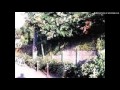 JAGATARA / 夢の海