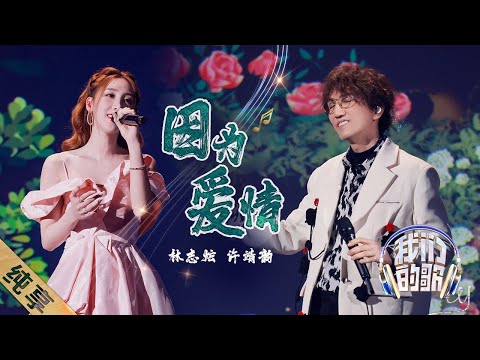 Lin Zhi Xuan 林志炫, Xu Jing Yun 许靖韵 - Yin Wei Ai Qing 因为爱情