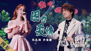 Lin Zhi Xuan 林志炫, Xu Jing Yun 许靖韵 - Yin Wei Ai Qing 因为爱情