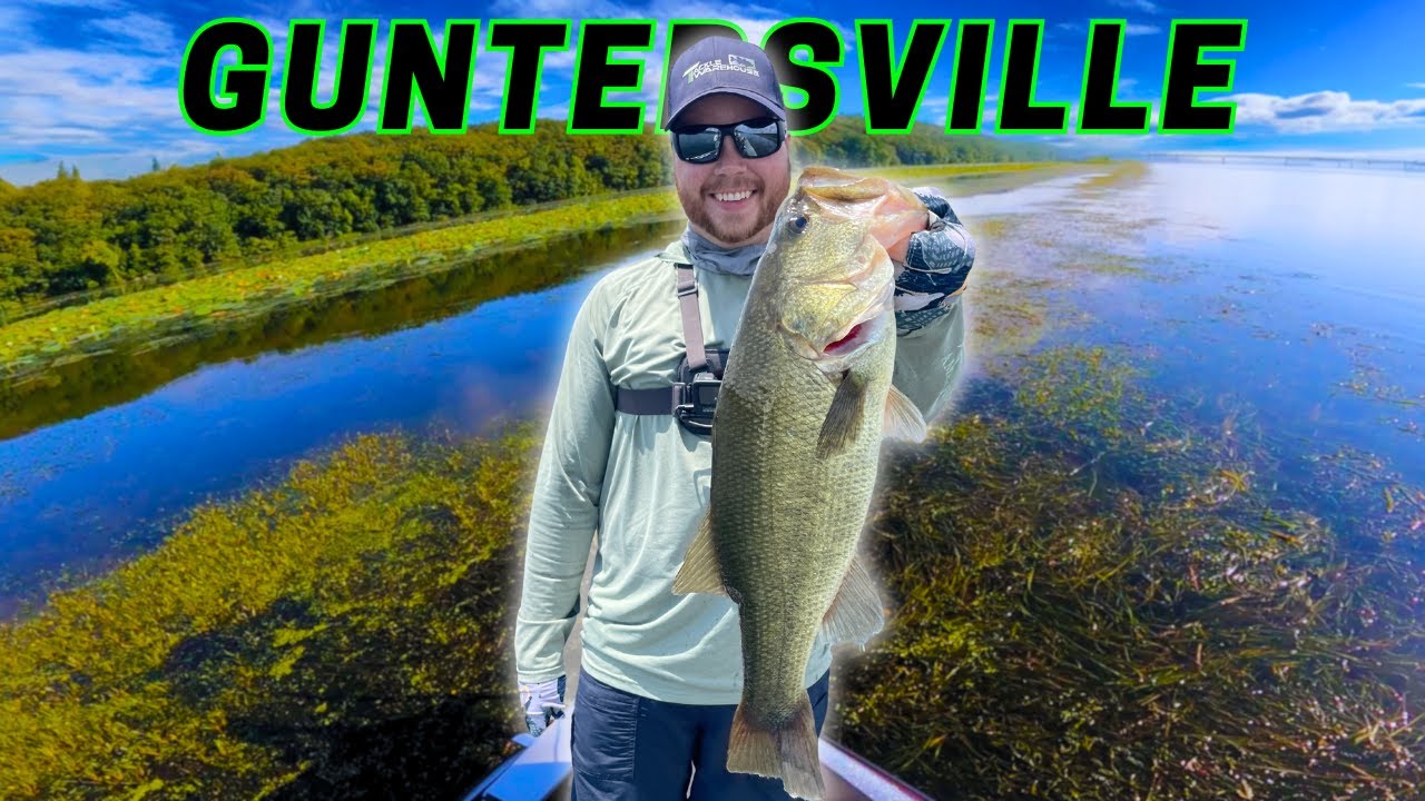 Punching GRASS for BIG BASS on Guntersville!