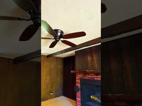 7209 S. Lincoln Way, Centennial, CO home video tour