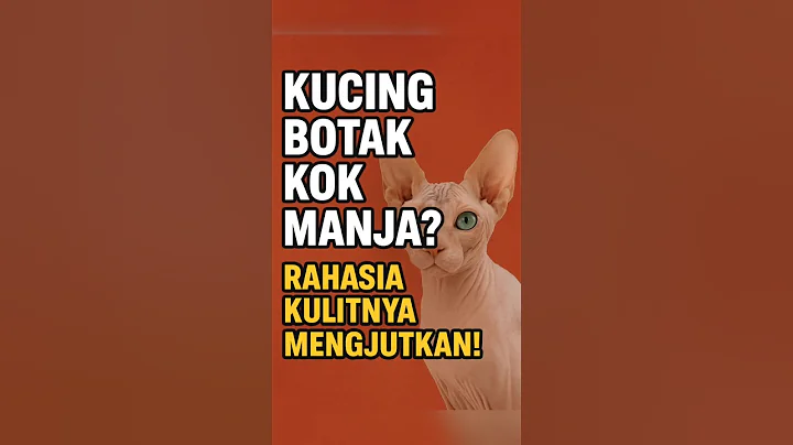 Video 11659541: sphynx hairless cat, bath