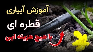 آبیاری قطره ای با این روش آنقدر آسان و مفید است که وقتی انجام دادم از نتایجش شگفت زده شدم