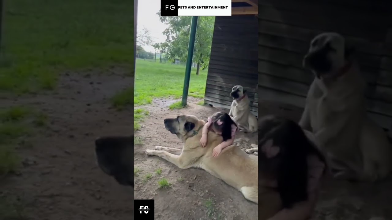 Protective Kangal Guardians 