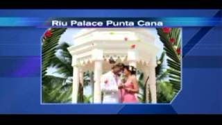 Oyster On Wgn News In Chicago