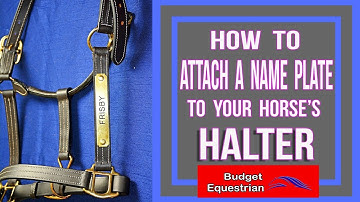 How To Attach A Name Plate To A Horse Halter