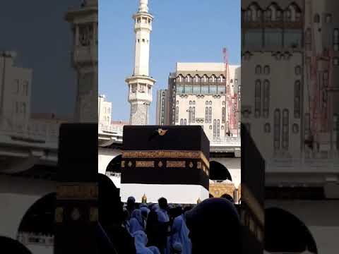 دعاء من أخ طيب عند الكعبة