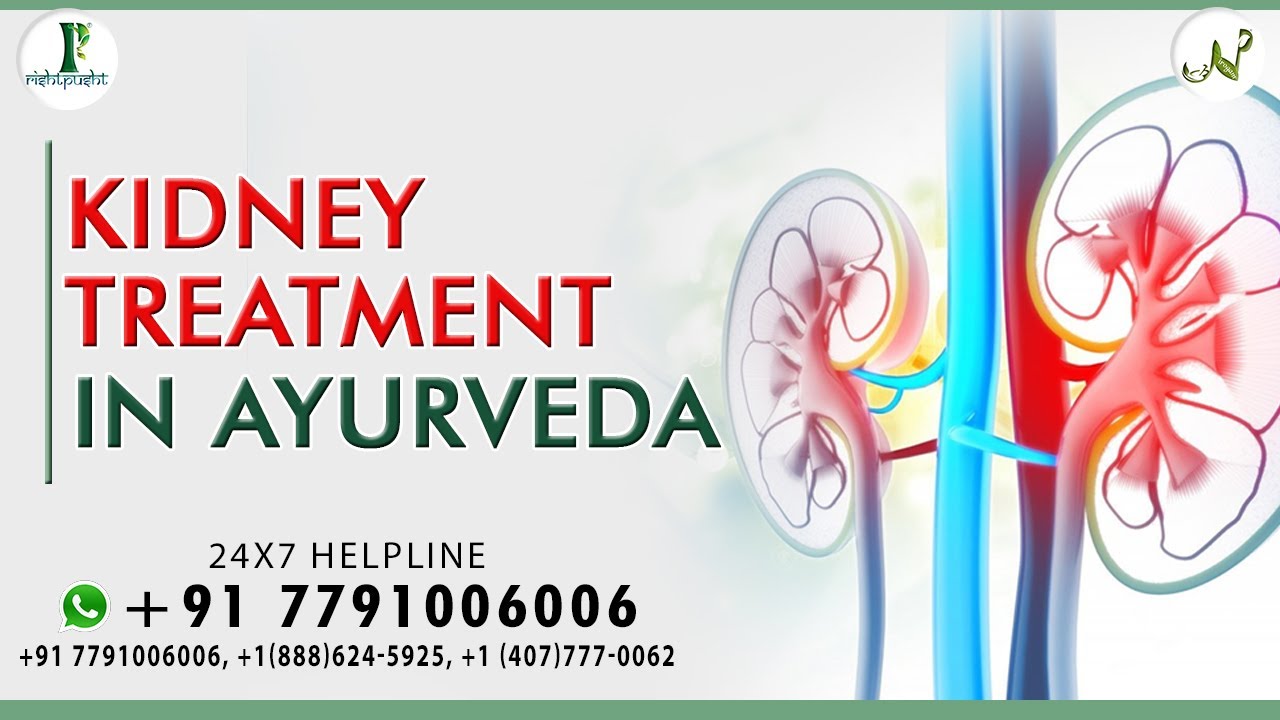 Kidney Treatment in Ayurveda Cure For Kidney Disease Rishtpusht