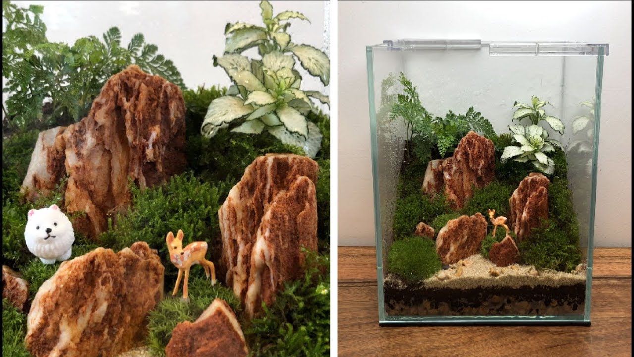 Зная это, вы легко справитесь! Создайте комнатный сад мхов [в натуральном горшке]