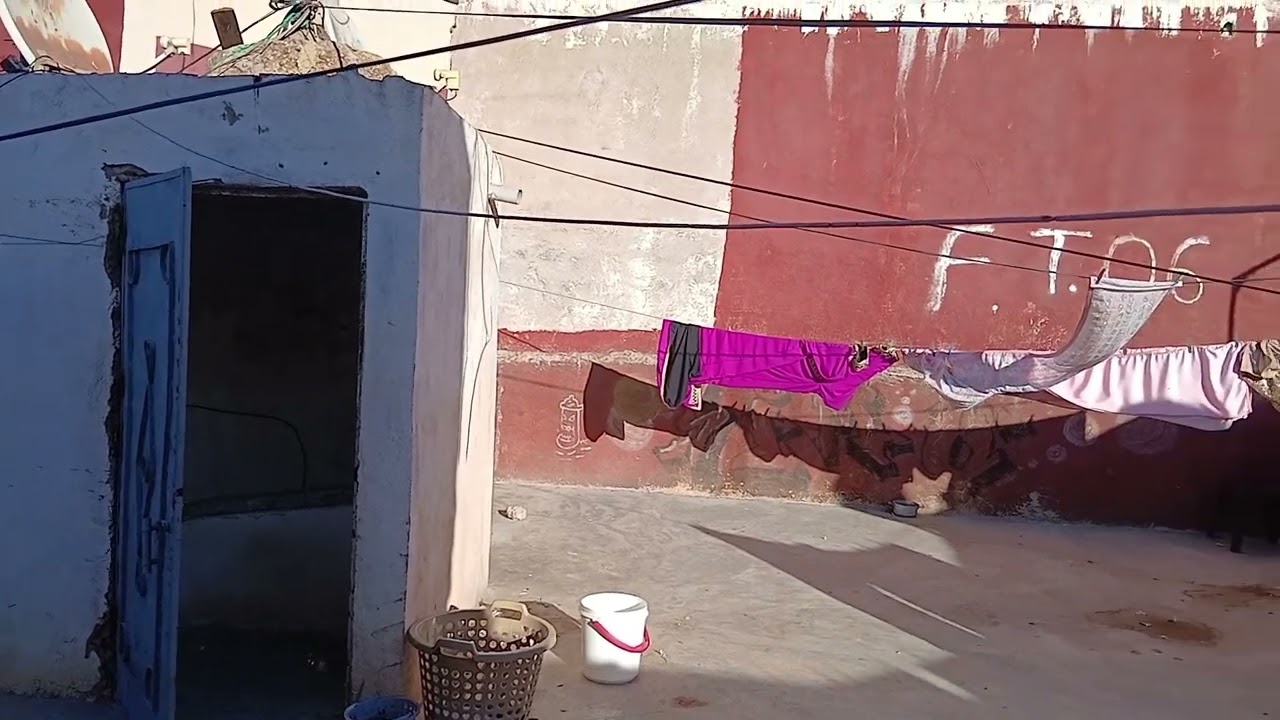 الخوت غدي نسلي من من الحمام 😔هربتلي اونثى كنريو 🕊