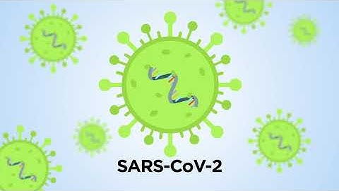 Testing for COVID-19 - What can diagnostic tests do?