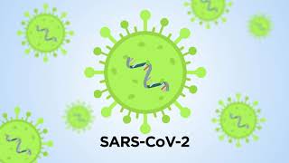 Testing for COVID-19 - What can diagnostic tests do?