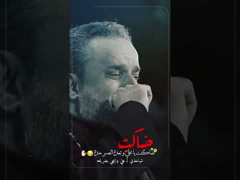 ضاكت ياعلي شياخذني لـ علي وابچي بضريحه باسم الكربلائي ستوري حزين 