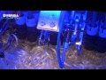BEST WAY TO PEEL VEGETABLES: AUTOMATIC ASPARAGUS & CARROT PEELING MACHINE - TENTRIT FOODTEC PEELER