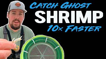 A FASTER way to catch GHOST SHRIMP | Florida