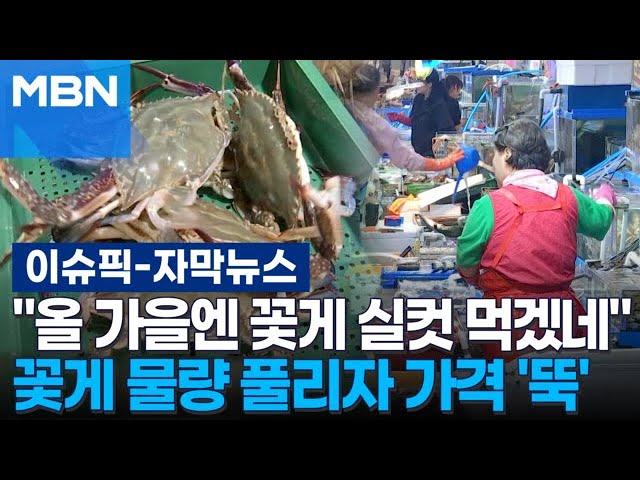 [자막뉴스] ＂올 가을엔 꽃게 실컷 먹겠네＂ 꽃게 물량 풀리자 가격 '뚝' | 이슈픽