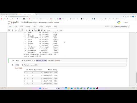 How we could use select_dtypes() Pandas function ? (English audio)