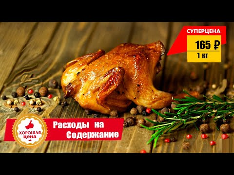 Выгодно ли держать перепелов на мясо. Расходы на содержание перепелов.