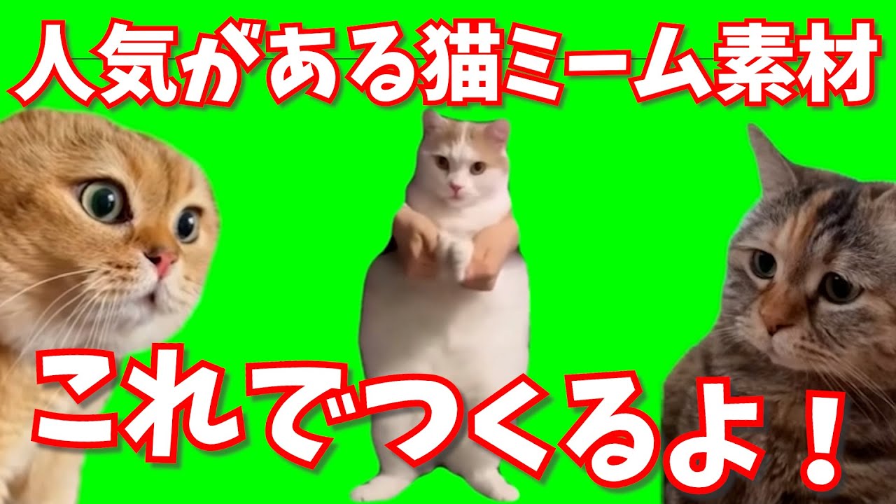 【猫ミーム】人気がある猫ミームの 素材を集めてみました【動画素材】 - YouTube