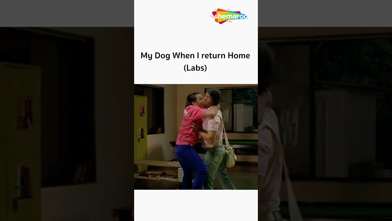 My Dog When I Return Home | Ft. Rajpal Yadav | 