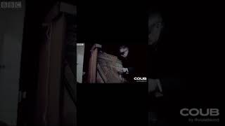 Download Lagu Orkestra Obsolete Blue Monday Cover MP3