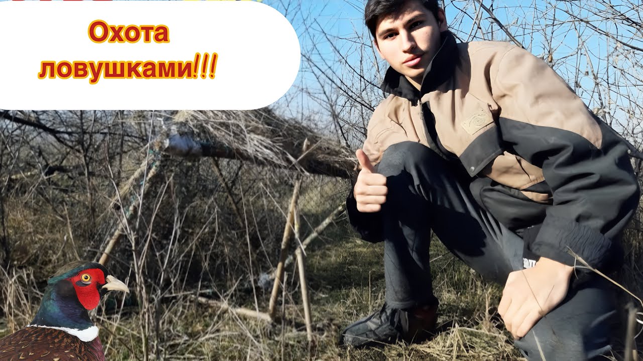 Охота с ловушками в зарослях. 3 разных ловушки!!!