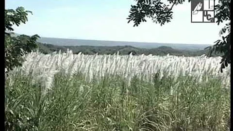 Declamacin de Poemas de Alfredo Espino (2002)