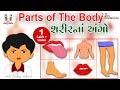 ઠઠà ઠઠઠઠઠઠà ઠઠઠઠઠBody Parts Name In Gujarati Toddler Learning Video Bhar Vinanu Bhantar ઠઠà ઠઠઠઠઠઠà ઠઠઠઠઠBody Parts Name In Gujarati Toddler Learning Video Bhar Vinanu Bhantar