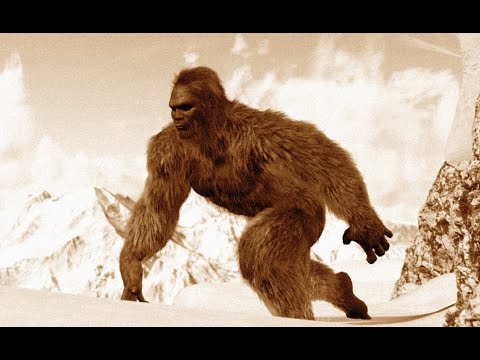 leonard-nimoy-in-search-of-the-abominable-snowman-1979