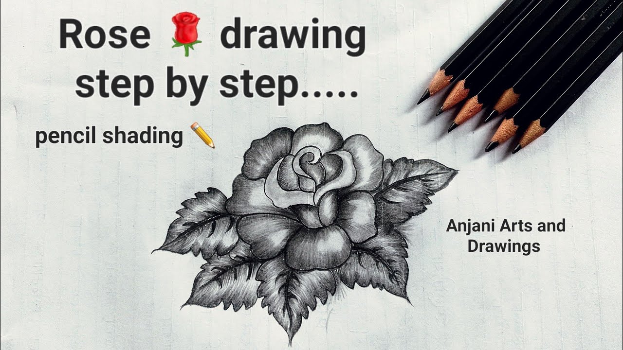 Rose 🌹 drawing step by step.....#art #drawing #rosedrawing #howtodraw ...