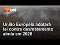 Lei contra desmatamento será implantada na União Europeia em 2026, mesmo com pressão das indústrias