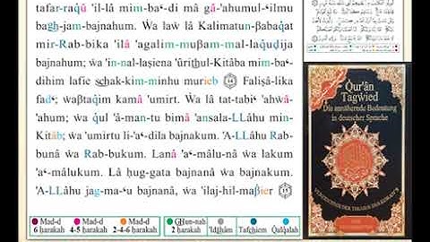 ختمة من مصحف التجويد باللغة الألمانية الصفحة رقم 484