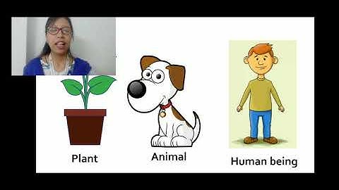 Class 1 (D & E) || L 7: Our Green Friends || EVS || 08.09.2020@SFS NARENGI